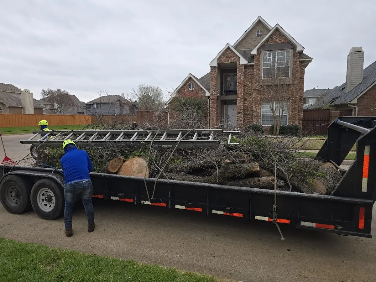Expert Tree Removal with proper safety equipment in Farmdale